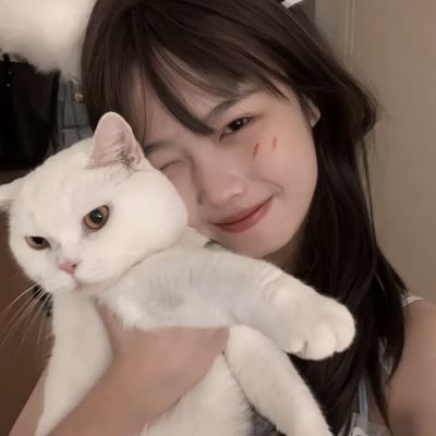 手摇车H5