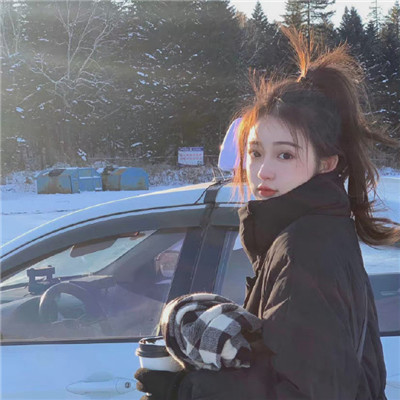 我的小鲨鱼-PC
