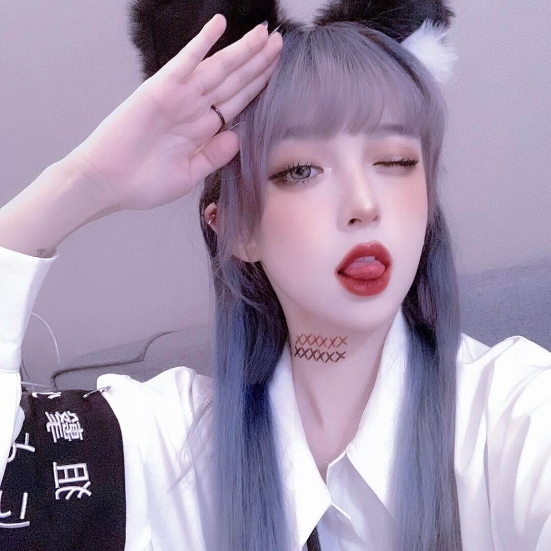 宠物之地