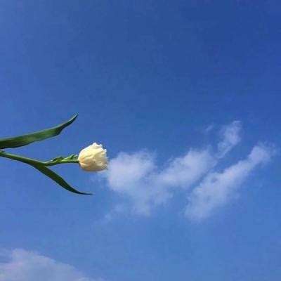 久久在免费...</a> 久久在免费...</a>