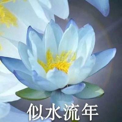 久久在免费...</a>