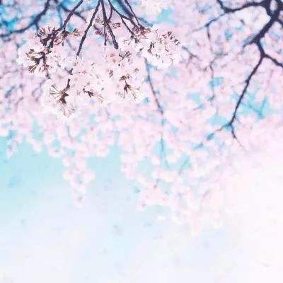 水果大战害虫无敌版