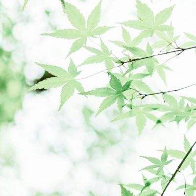 15点