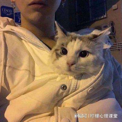小象填颜色