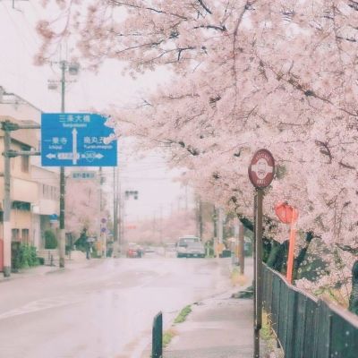 小美海鲜泡面店中文版