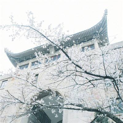 娃娃-点气球数数字