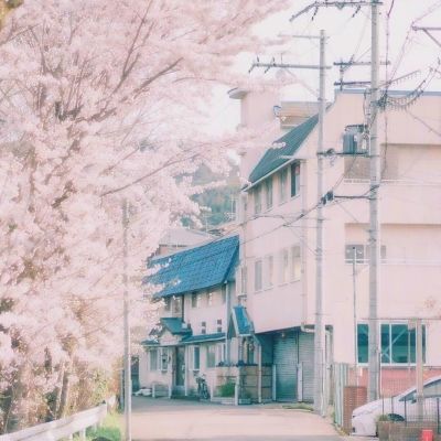 英雄来当家
