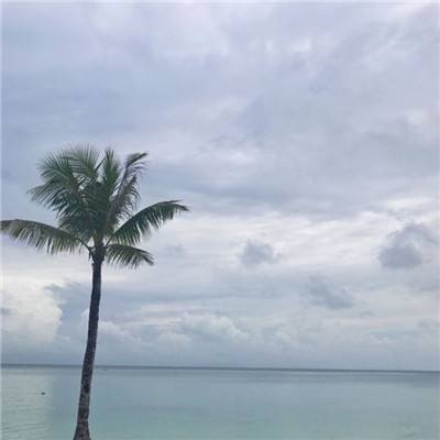 经营商业购物街