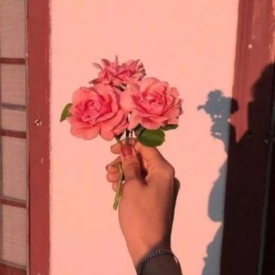 我是搬运工（识字）
