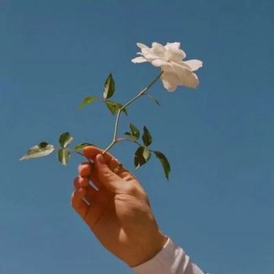 半熟恋人3 喜欢和不喜欢好明显