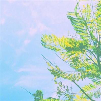 福利聚合app绿巨人入口