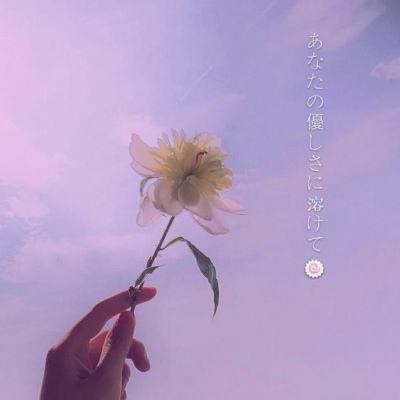 汽车空中挑战赛