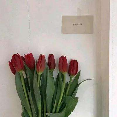 多国足球挑战赛