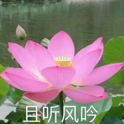 暴走100M