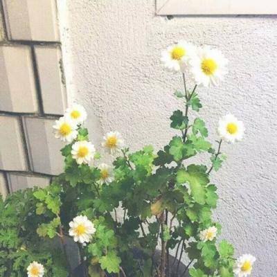 色屁屁www影院免费观看老司机截图