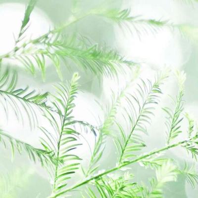 金瓶悔1一5杨思敏无删减视频