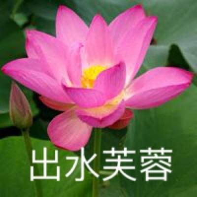 智夺军旗