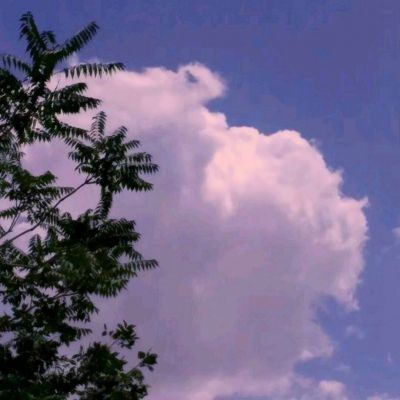 大脚车障碍越野