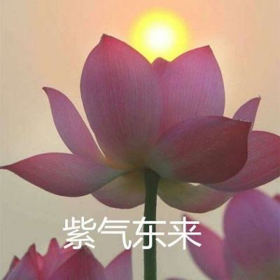 运输卡车