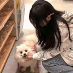 草地高尔夫