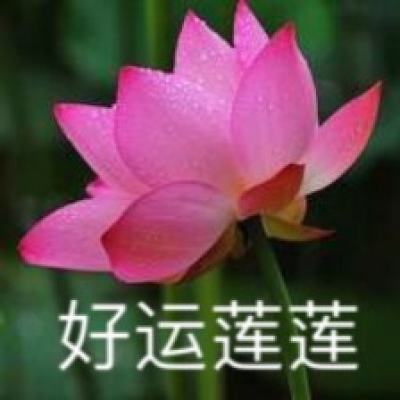 CHINESEGAYGVTUBE CHINESEGAYGVTUBE