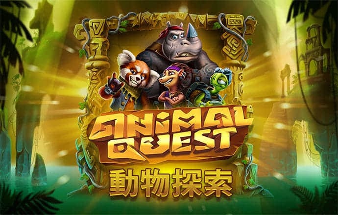 职业网球比赛