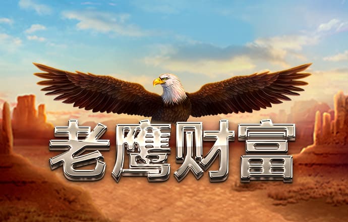 17c19起草视频