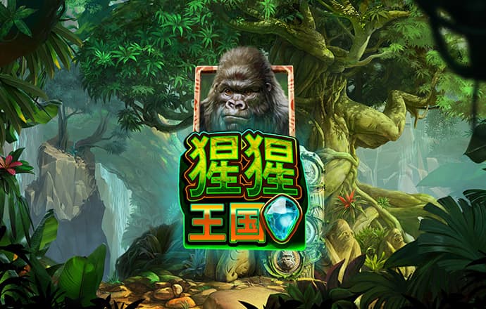 igao为生活加点料
