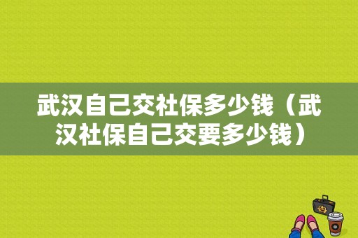 武汉自己交社保多少钱（武汉社保自己交要多少钱）