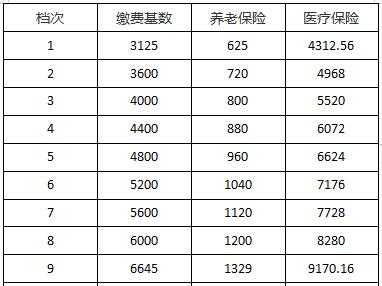 河北承德2020年灵活就业缴费标准？承德医疗保险缴费基数