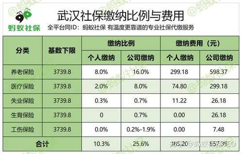 武汉社保扣多少（武汉社保扣除标准）