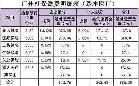 社会保险每月交多少钱（社会保险每月交多少钱怎么查）