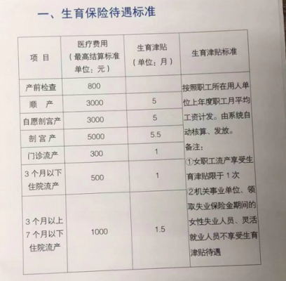 生育险每个月交多少（生育险每个月交多少钱）