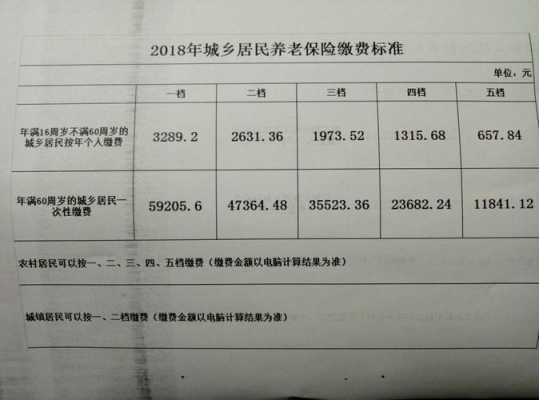 社区养老保险能领多少（社区养老保险标准）