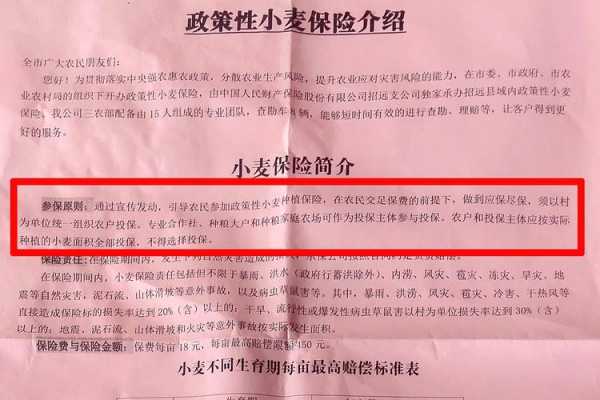 麦子保险赔多少钱（小麦保险怎么报）