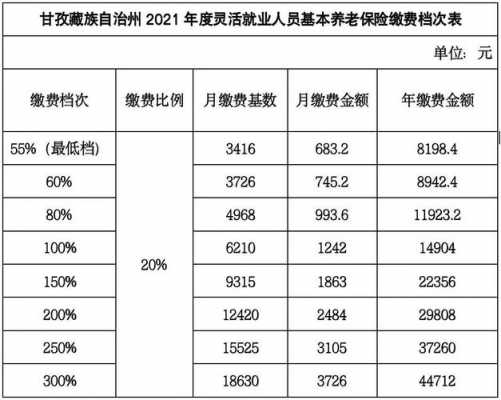 辽宁灵活就业医疗2023缴费标准？自由职业医疗保险缴费