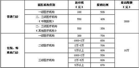 公务员青岛市大病报销病症有那些范围 ?公务员大病医疗保险