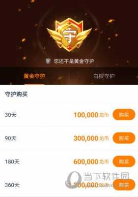一年守护多少钱（一年金色守护多少钱）