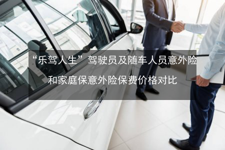 乐驾险多少钱（汽车乐驾险是什么险）