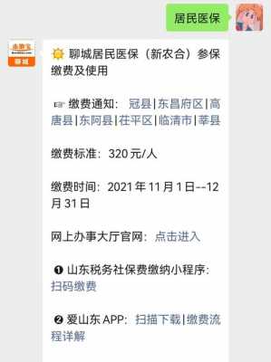 山东聊城新农合缴费查询系统？聊城医疗保险信息网