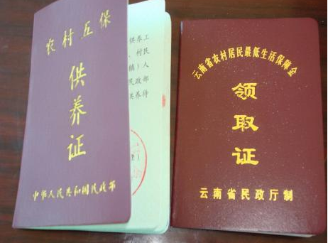 南通五保交多少（江苏南通五保户一年多少钱）