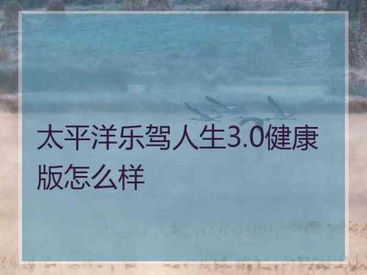 乐驾人生多少钱（乐驾人生20）