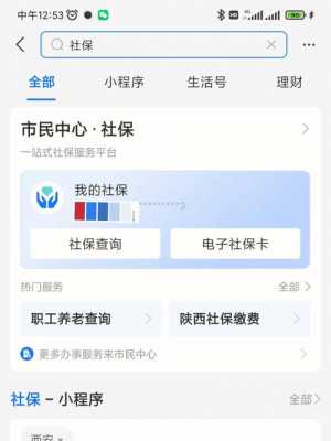 支付宝怎么查医保每月进账？怎样查医疗保险卡余额