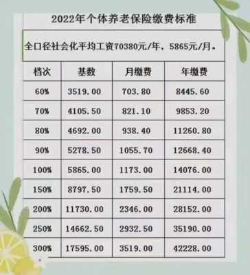 个人缴纳社保一年多少（个人缴纳社保一年多少钱一个月）