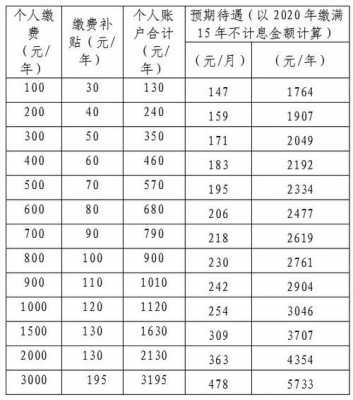养老保险低档多少钱（低档养老保险一年多少钱）