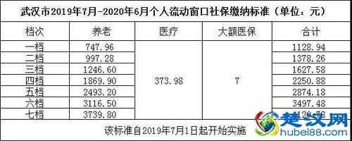 武汉交社保一年多少钱（武汉社保一年需要交多少钱?）