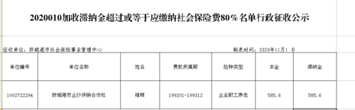 社保补交滞纳金多少（社保补缴滞纳金比例）