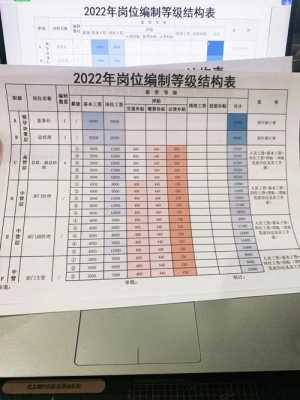 职员多少级（职级共多少级）