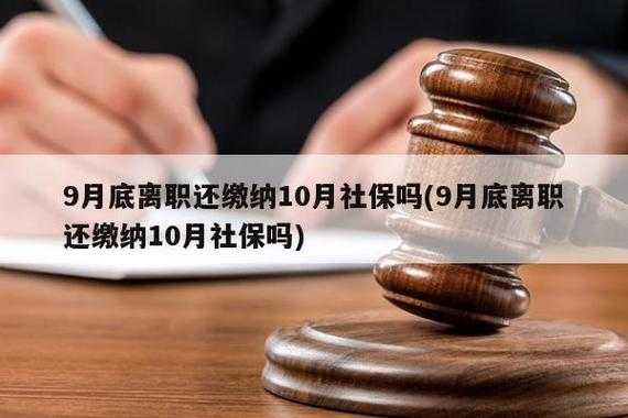 辞职退社保能退多少钱（辞职退社保能退多少钱一个月）