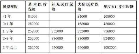 大病民政补助多少钱（大病民政补贴）
